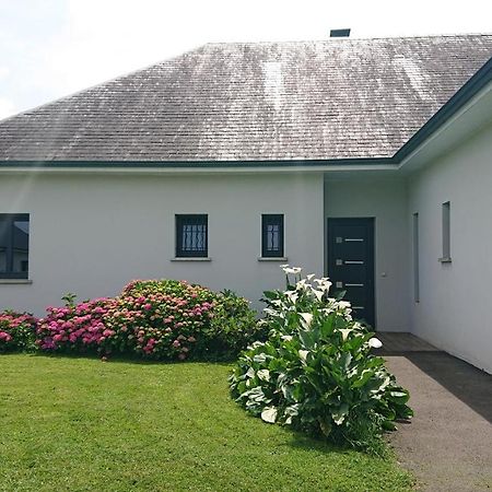 Maison L'Allee Des Arums Oloron-Sainte-Marie Buitenkant foto